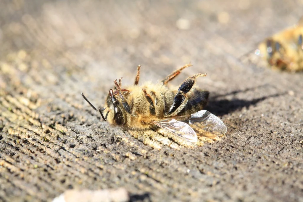Pesticide Modes of Action - DPR CA Online Ceu courses for pest Control