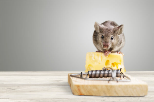 Rodent Control Methods - Part A - DPR Course - California