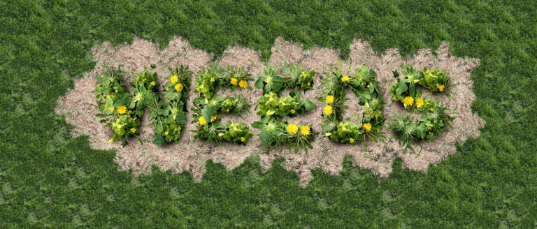 Online CEU courses