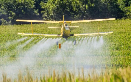 Online approved courses for pest control
