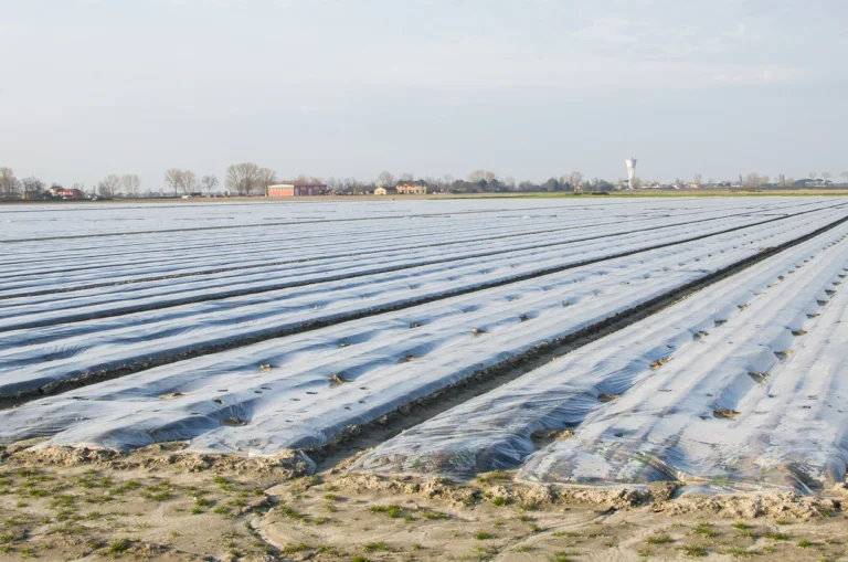 Understanding Fumigation - DPR CA Online Ceu courses for pest Control in california