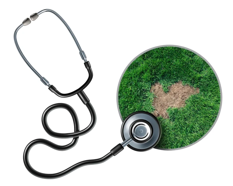 Turfgrass Weed Biology, Identification and Management - DPR CA Online Ceu courses for pest Control in california