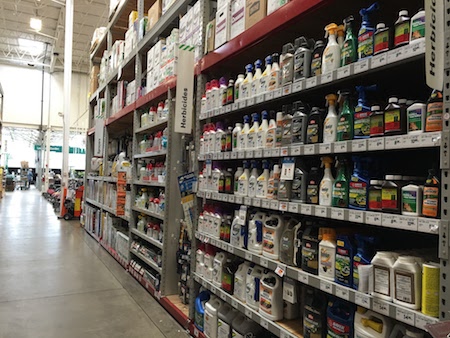 Online CEU Courses for PEst control certification