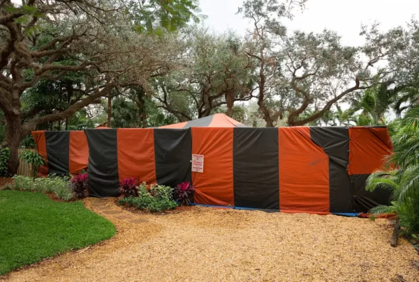 Structural Fumigation - FDACS