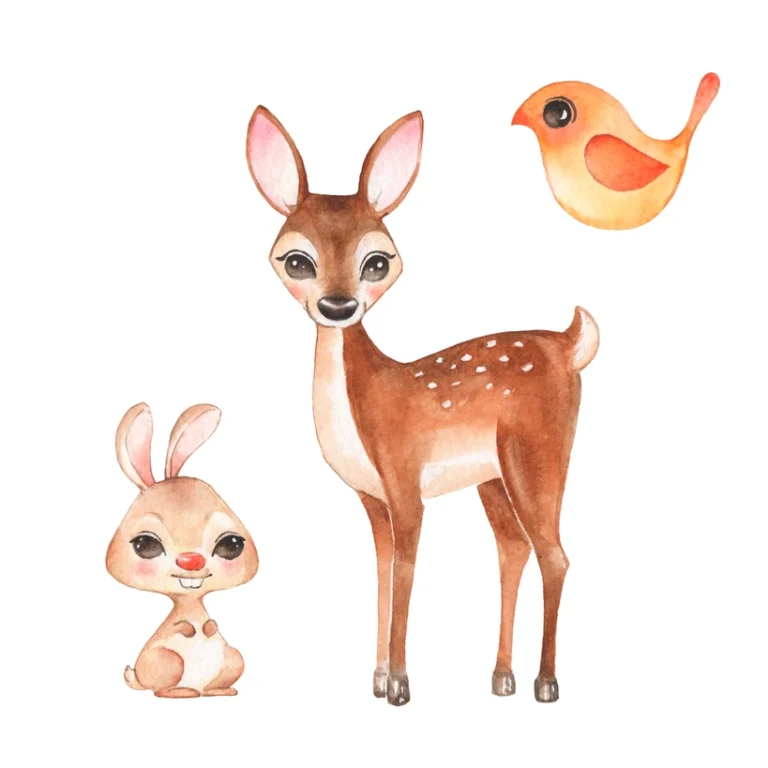 Rabbit and Deer DPR Courses